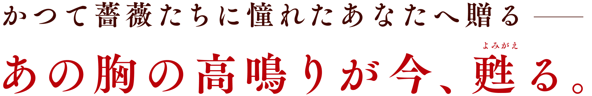 かつて薔薇たちに憧れたあなたへ贈る あの胸の高鳴りが今、甦る。